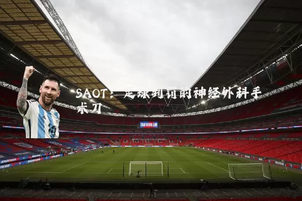 SAOT:足球判罚的神经外科手术刀